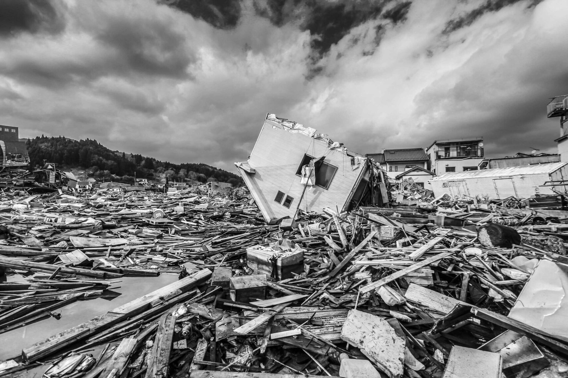 Serie Tsunami en Japón. Florencia Visconti.